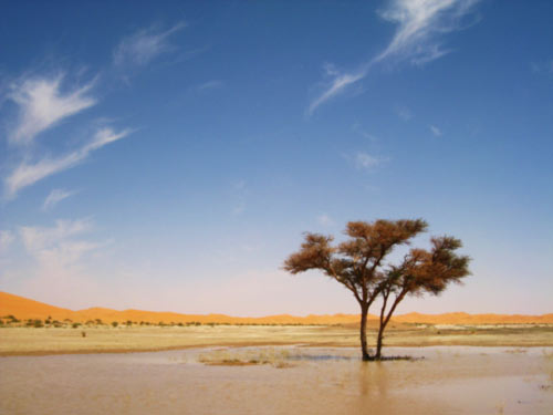  "Retour vers un point d’équilibre"  de Nadia Chouïeb - FCAPA 2010     